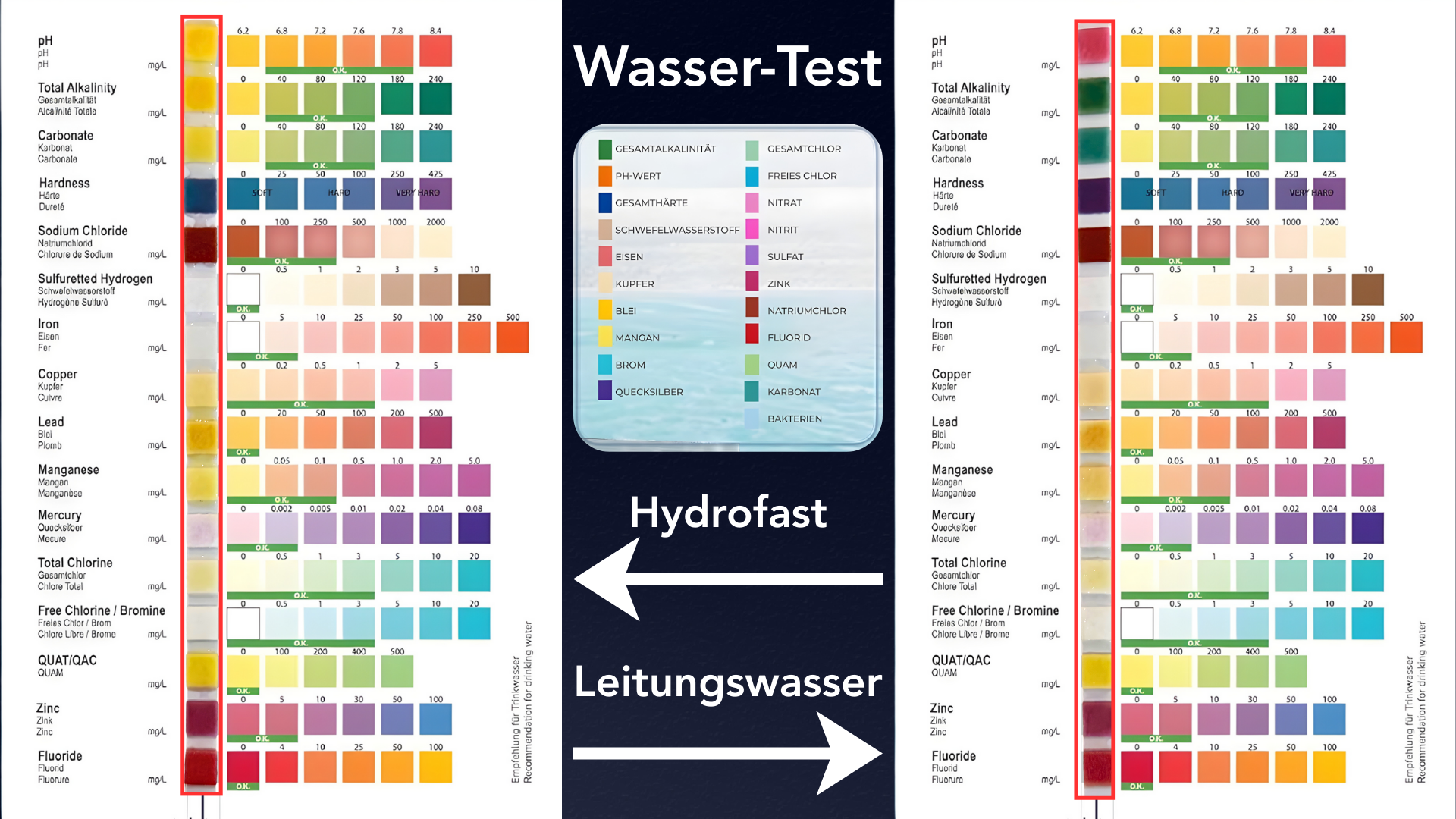 Wassertest Vergleich: Leitungswasser vs. Hydrofast Osmosewasser - Teststreifen zeigen deutliche Unterschiede